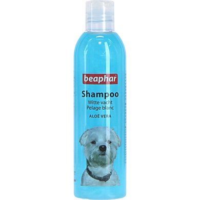 Grace katje in de tussentijd Beaphar Shampoo witte vacht – Trimsalon Daffie