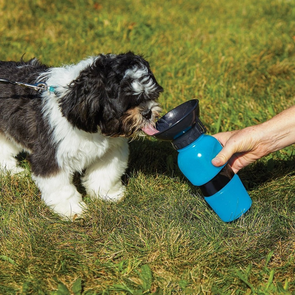 Aqua dog reisfles