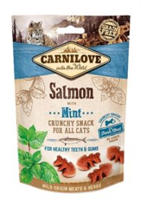 Carnilove salmon snack
