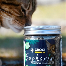 CROCI EUPHORIA CATNIP POT 25 GR