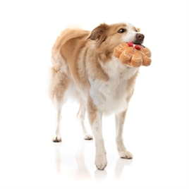 FUZZYARD MISTLE-DOUGH 23X15X3 CM