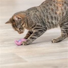 TRIXIE ZEEPAARD PLUCHE MET CATNIP ASSORTI 11 CM