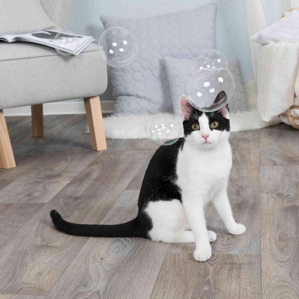 katten bellenblaas
