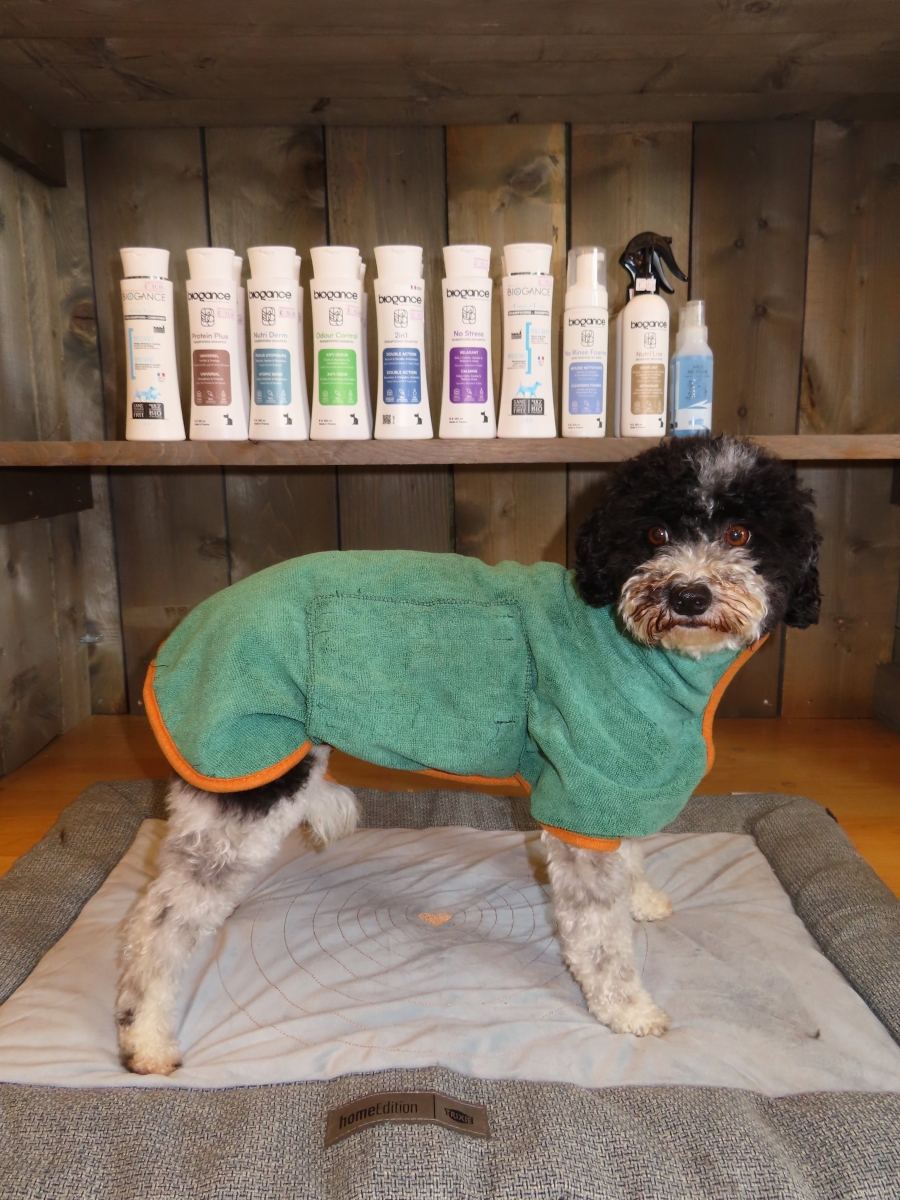 Bad Handdoek voor honden