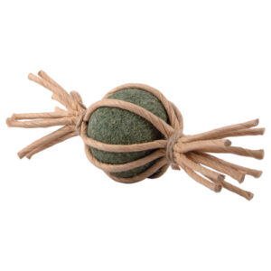Catnip bonbon